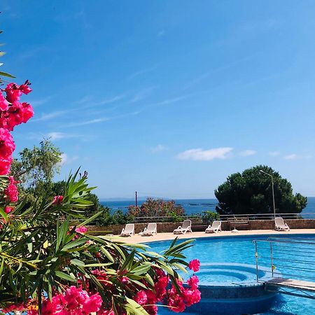 Superbe T2 Vue Mer - Piscine & Plage A 100M Ajaccio  Exteriör bild