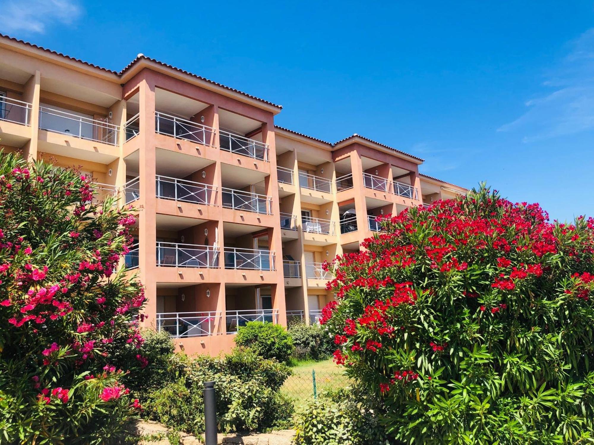 Superbe T2 Vue Mer - Piscine & Plage A 100M Ajaccio  Exteriör bild
