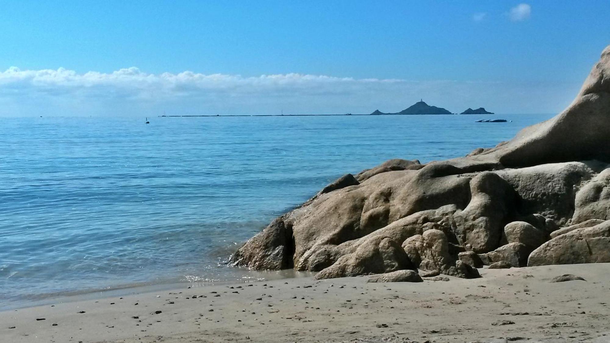 Superbe T2 Vue Mer - Piscine & Plage A 100M Ajaccio  Exteriör bild