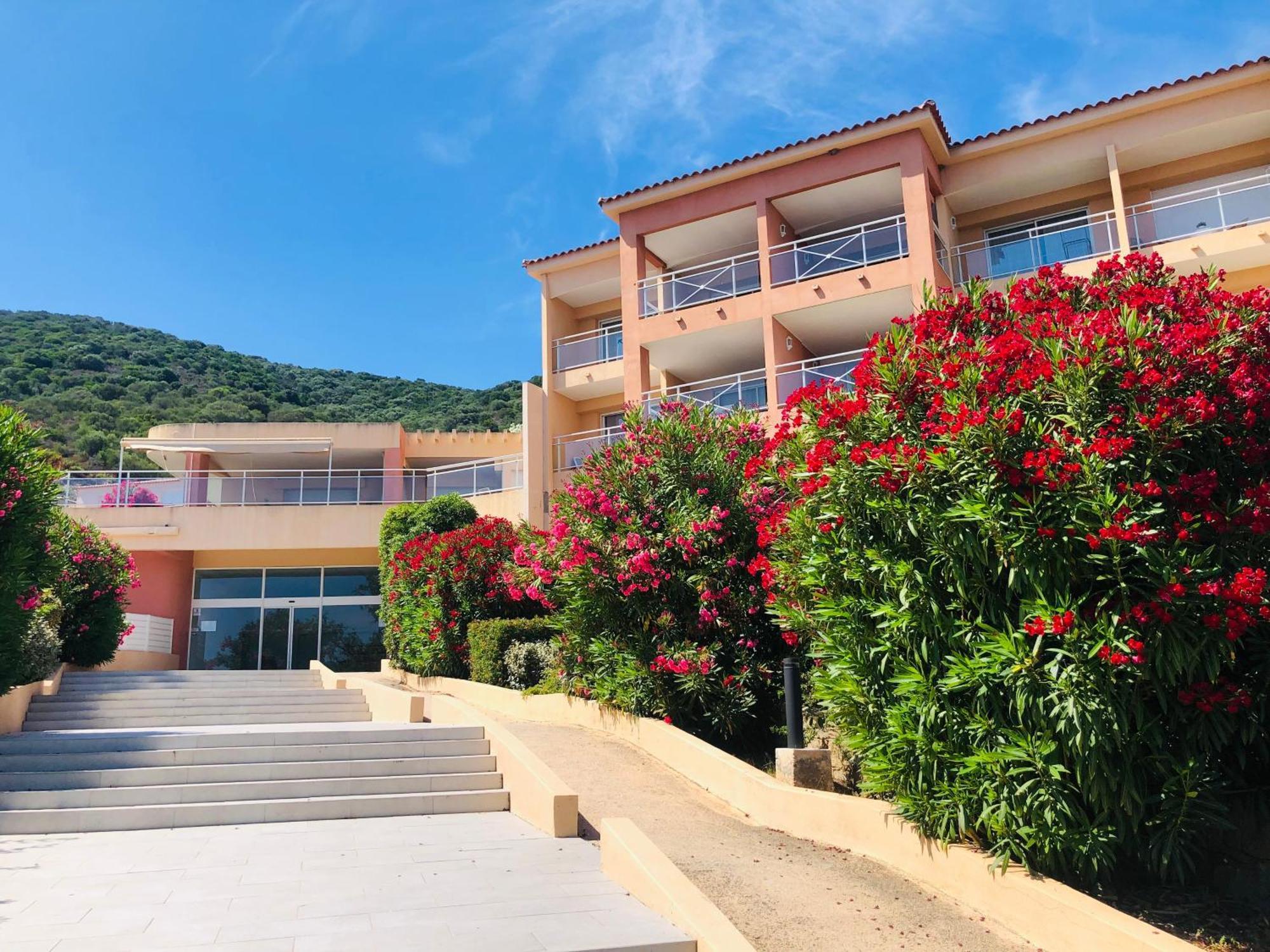 Superbe T2 Vue Mer - Piscine & Plage A 100M Ajaccio  Exteriör bild